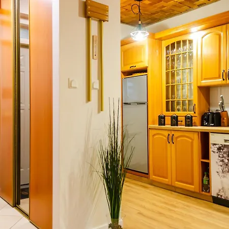 Deluxe Apartamento Płock