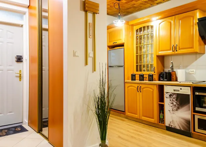 Deluxe Appartamento Płock